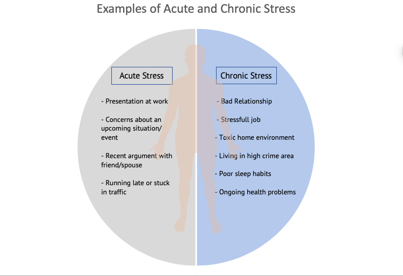 acute and chronic stress