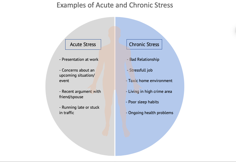 mercer-island-psychology-stress-management-strategies