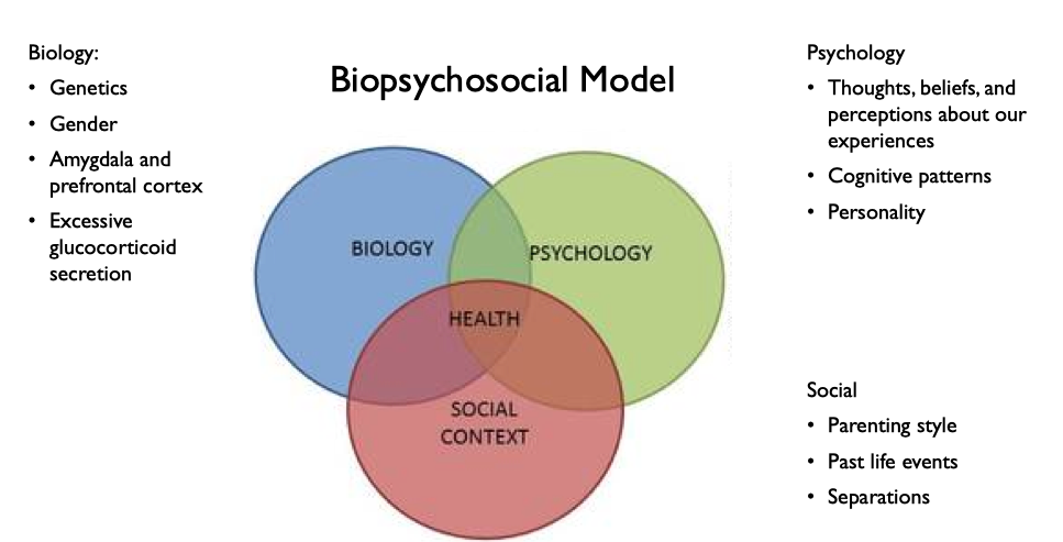 mercer-island-psychology-types-of-anxiety-disorders